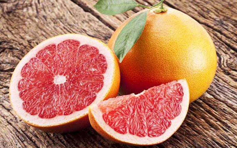GRAPEFRUIT TREES FOR SALE FORT MYERS