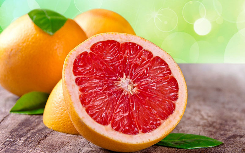 GRAPEFRUIT TREES FOR SALE FORT MYERS