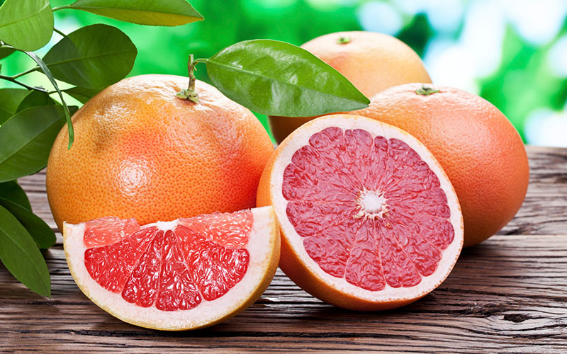 CITRUS TREES FOR SALE FORT MYERS