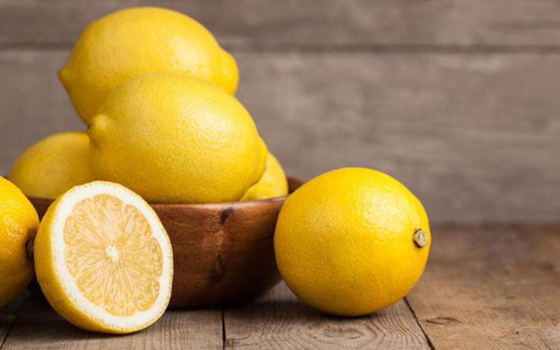 CITRUS TREES FOR SALE FORT MYERS