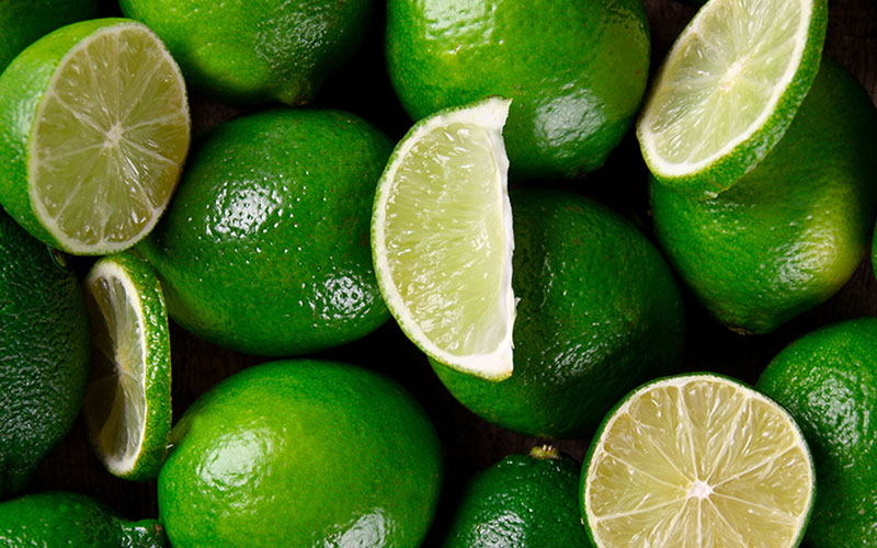 GARDEN CENTER FORT MYERS