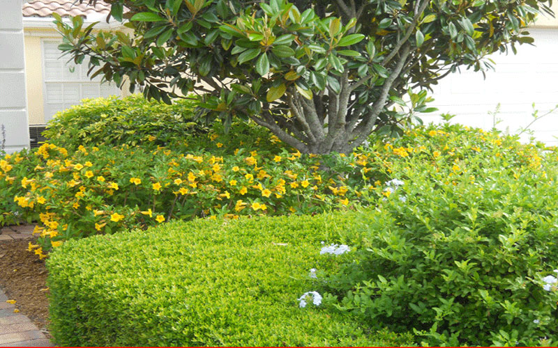 GARDEN CENTER FORT MYERS