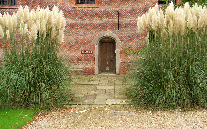 GARDEN CENTER FORT MYERS