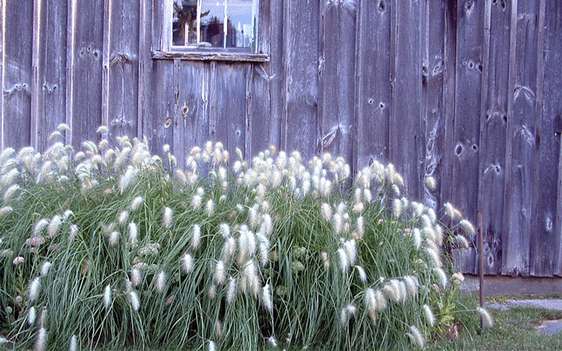 GARDEN CENTER FORT MYERS