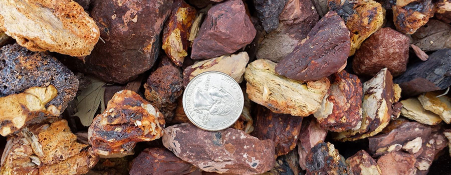 GARDEN CENTER FORT MYERS