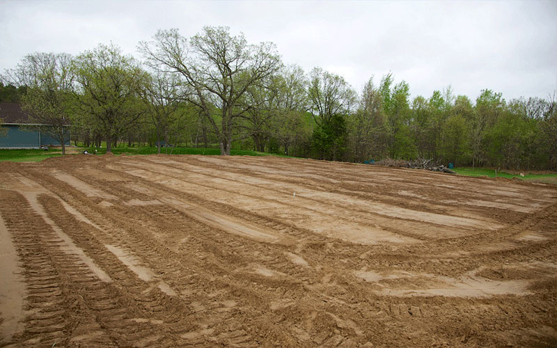 LAND CLEARING FORT MYERS