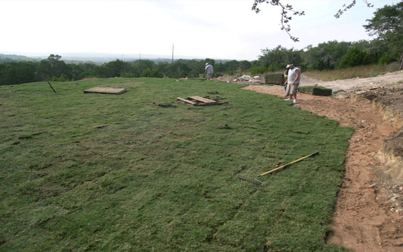 LAND CLEARING FORT MYERS