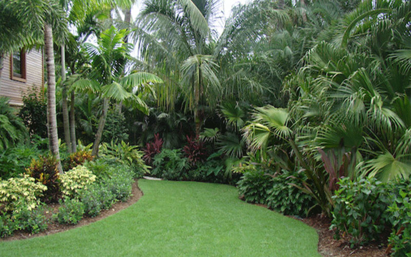 LANDSCAPE DESIGNERS FORT MYERS