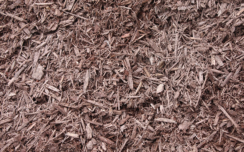 GARDEN CENTER FORT MYERS