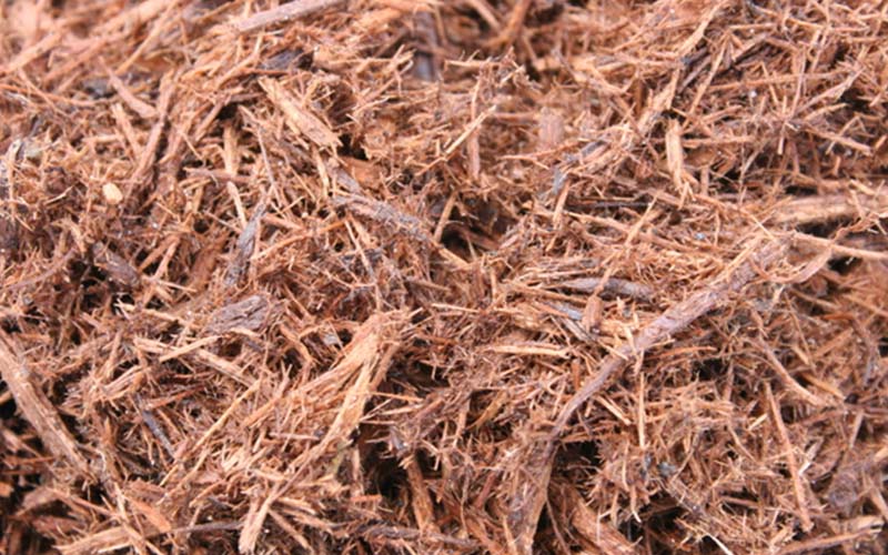 GARDEN CENTER FORT MYERS