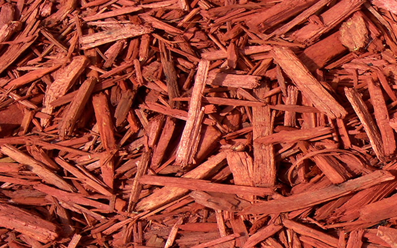 GARDEN CENTER FORT MYERS