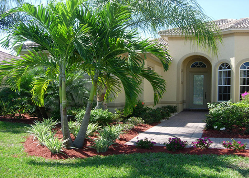 PALM TREE NURSERY FORT MYERS