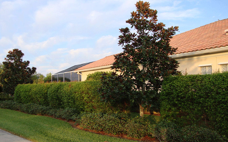 GARDEN CENTER FORT MYERS