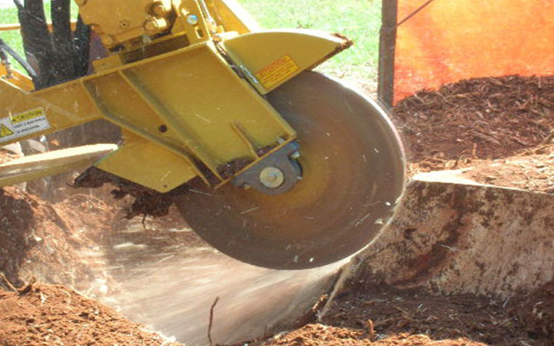 STUMP REMOVAL FORT MYERS