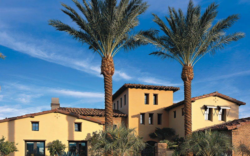 TREE TRIMMING COMPANY FORT MYERS